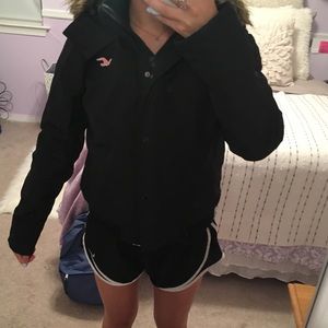 HOLLISTER: (L) Winter Parka